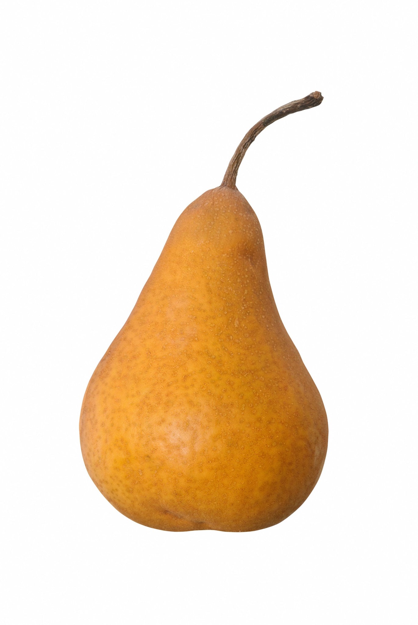 bvi>Bosc Pears (each)